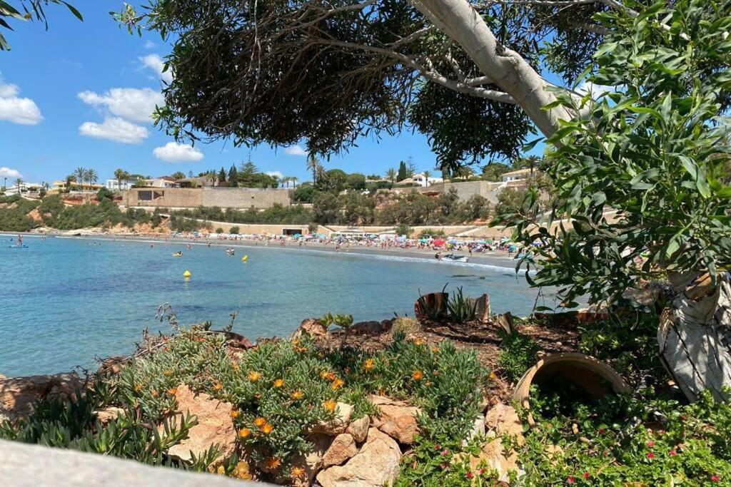 Luxury Penthouse Oasis Beach VIII Orihuela Costa Punta Prima トレビエハ エクステリア 写真